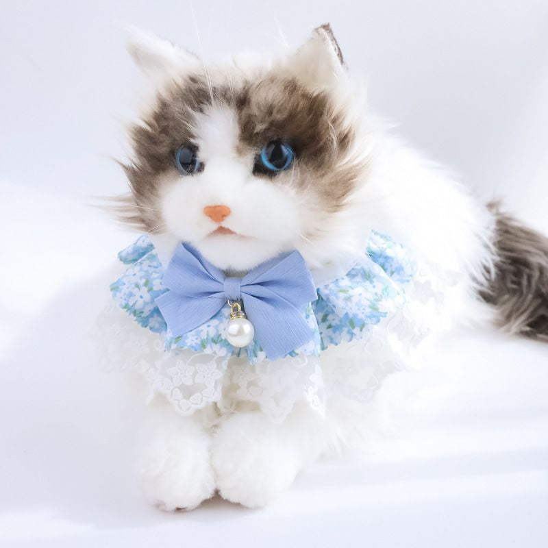 Chats Innocent Series Bib de chien en dentelle