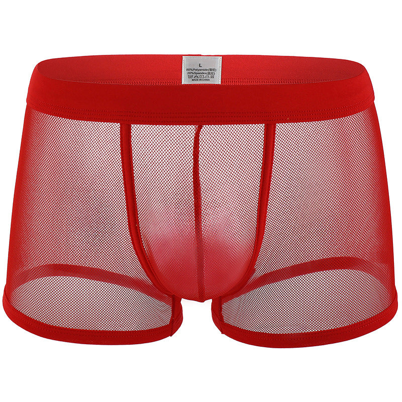 Sous-vêtements pour hommes Mesh Mesh Respirant Boxers Low Waist Transparent Boxers Youth Cool Short