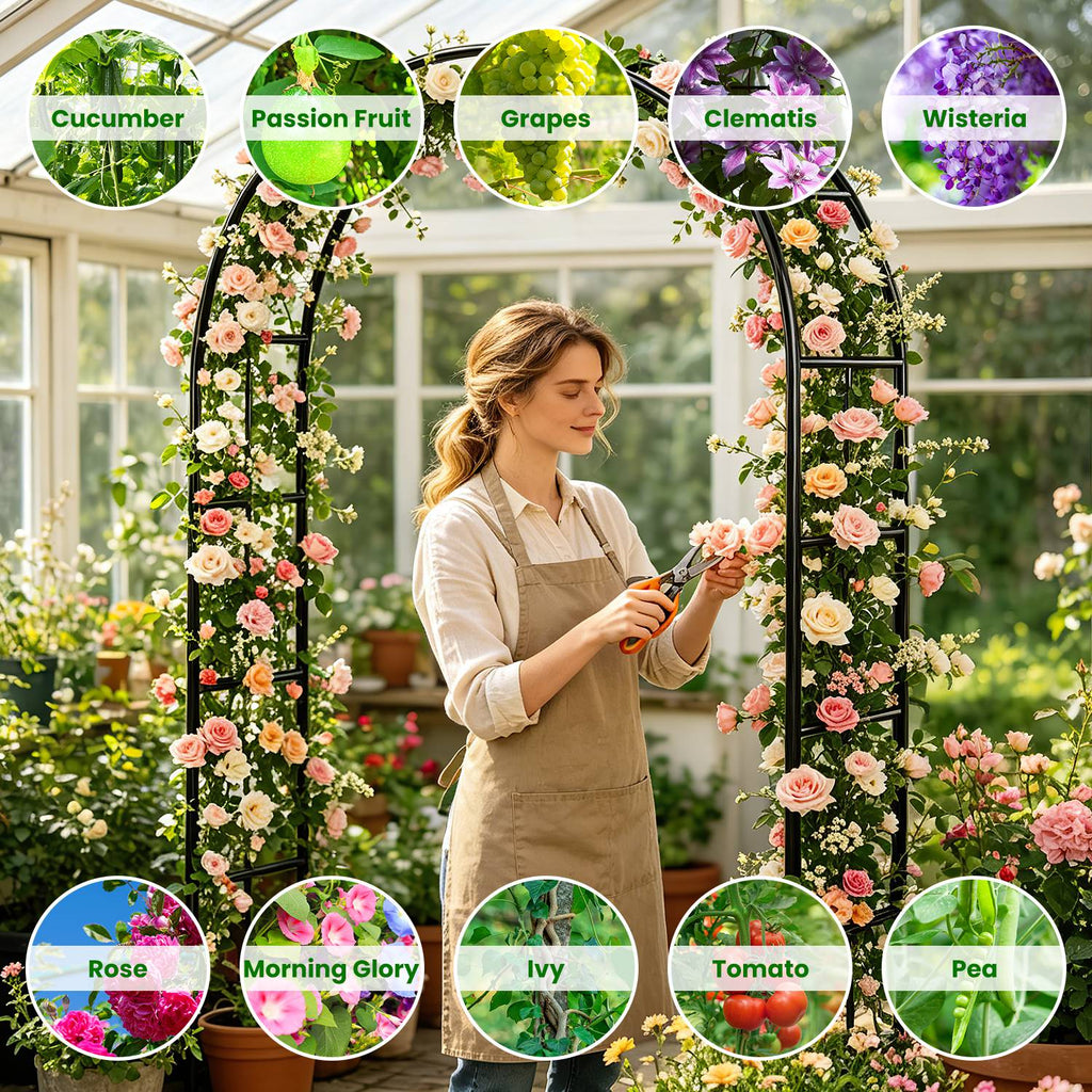 2Pcs ou 1Pcs Options 7.87Ft H X 4.59Ft W Arches de jardin en métal réglable Bricolage extérieur Trelli