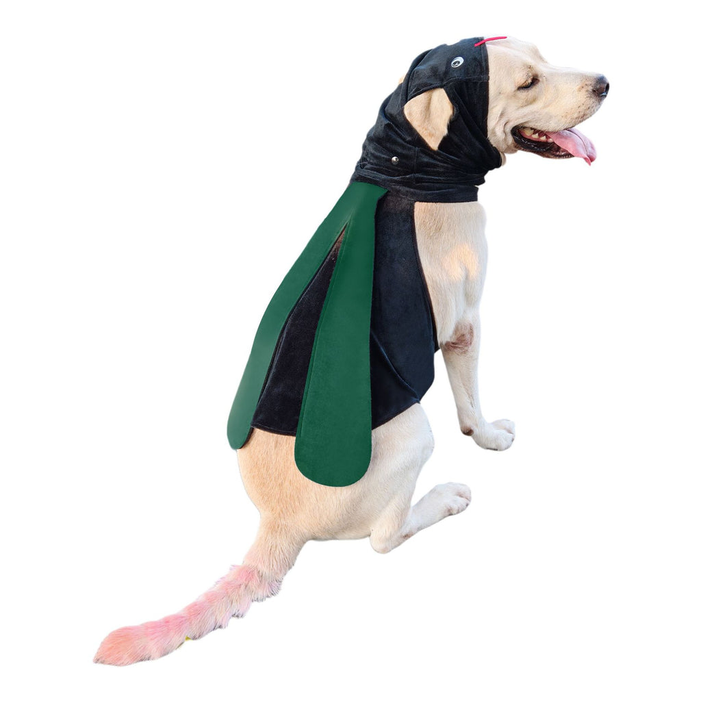 Chien Chef Déguisement Drôle Style Universal Fit