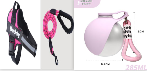 Set de ceinture de poitrine en laisse d'animal de mode simple