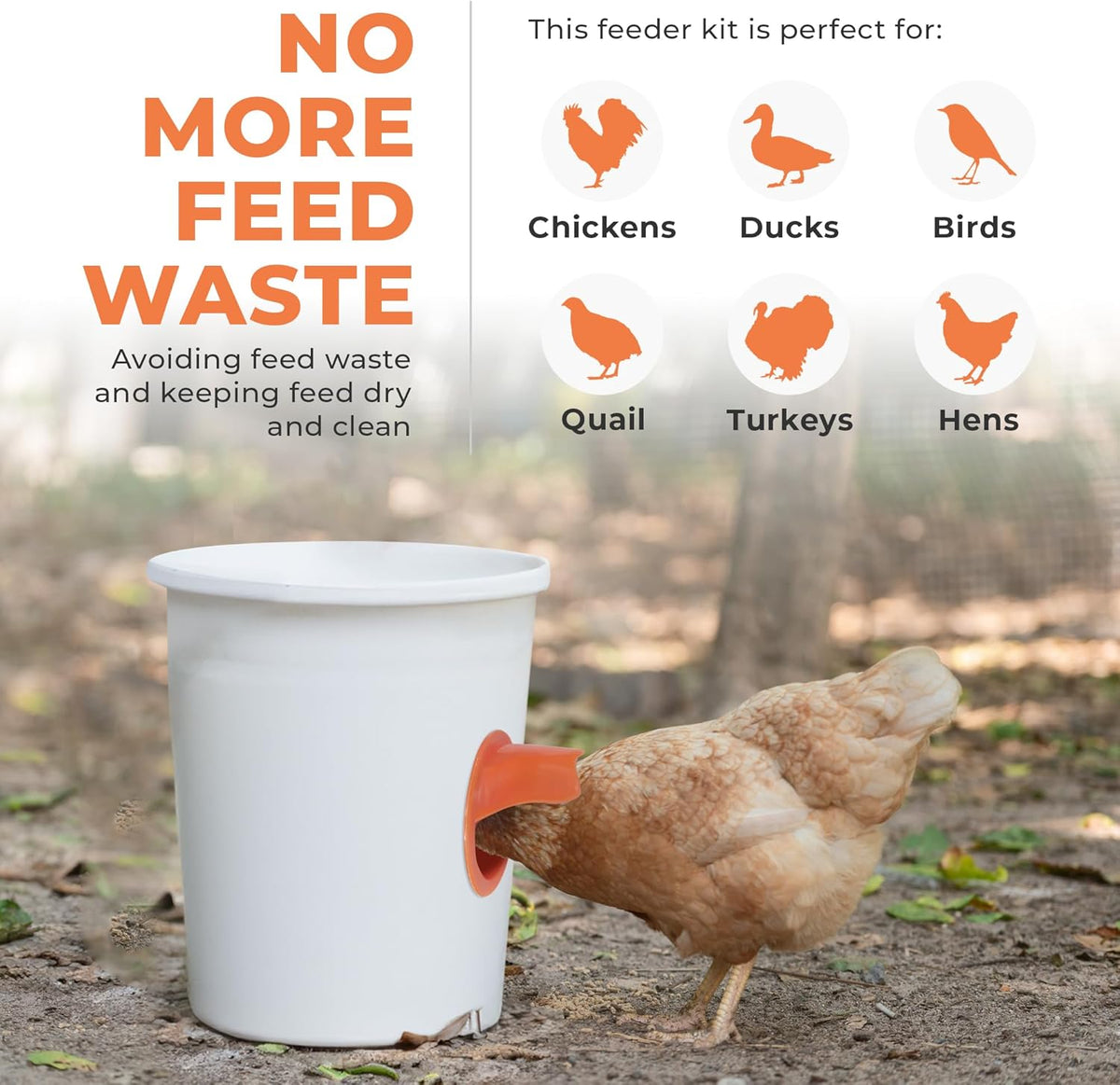 Trousse d'alimentation durable pour les poulets d'engraissement à base de viande de volaille pour les seaux