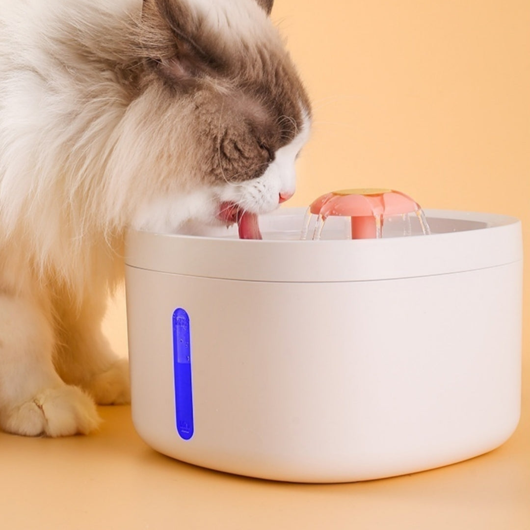 Induction de charge filtrée Fontaine d'eau pour animaux intelligents