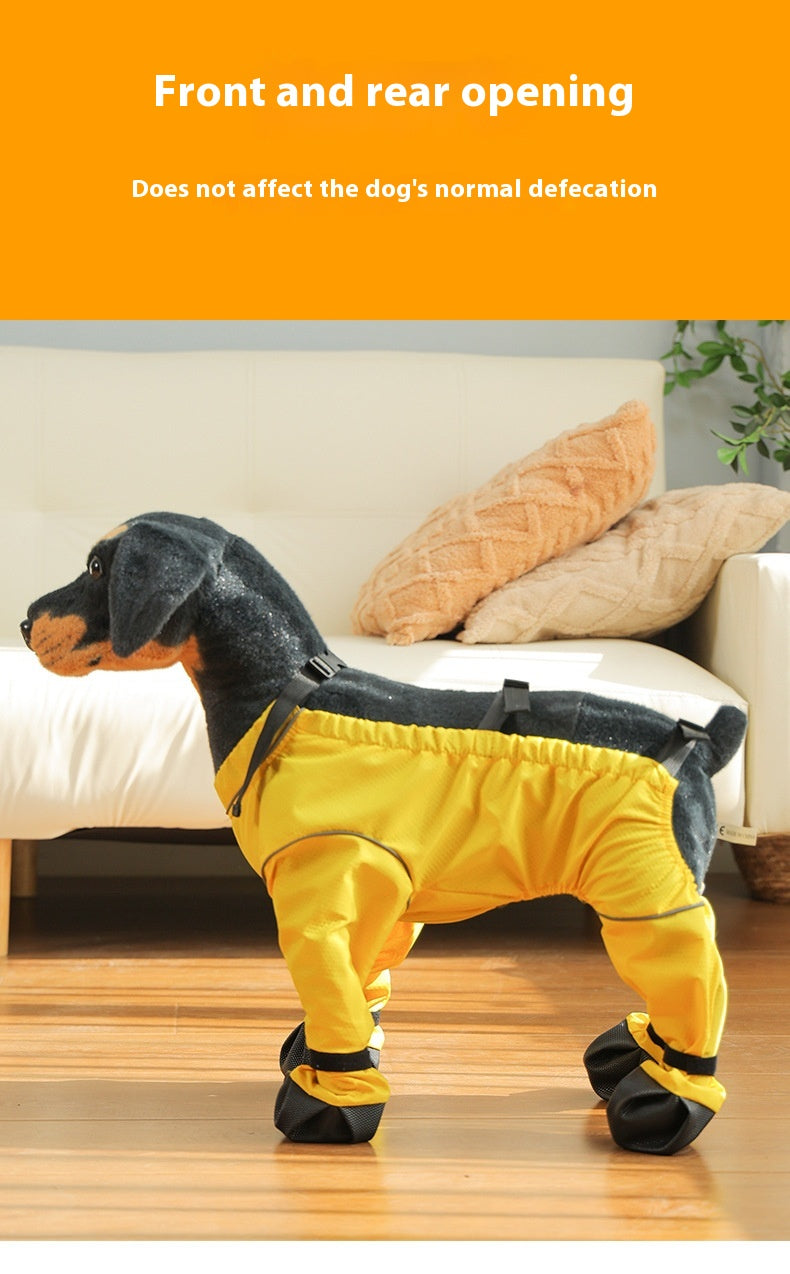 Pantalons anti-salissure de chien Couverture de chaussures de sortie