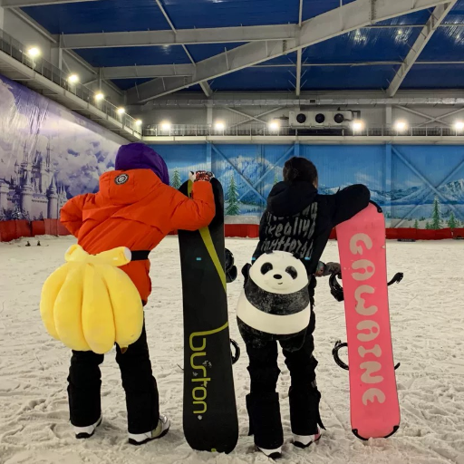 Patinage Butt Pad Little Turtle Roller Skating Guard Équipement Knee Pads