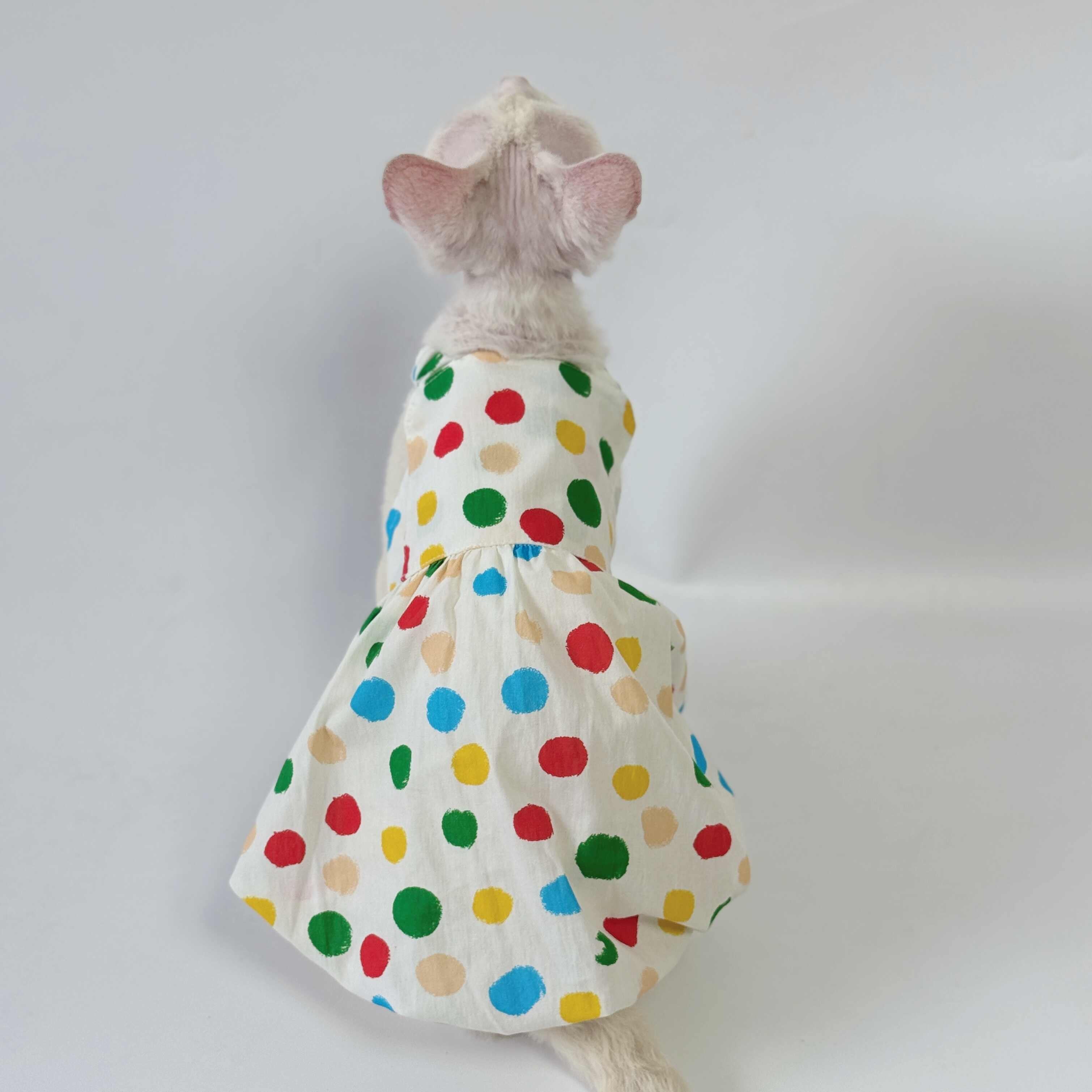 Sphynx Cat Coton Polka Dot Robe Colorée d'été pour les chats sans cheveux
