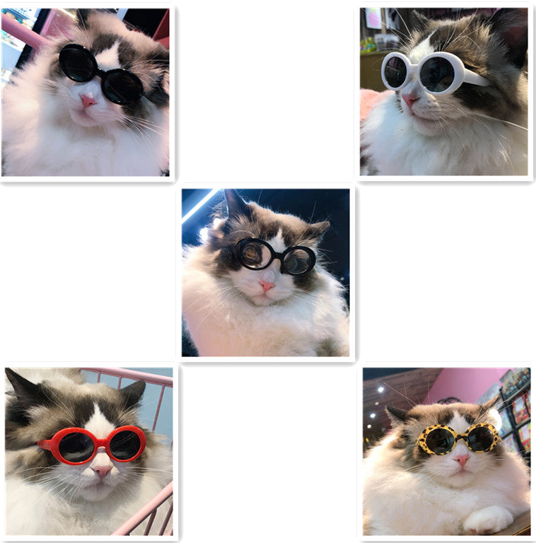 Pet Dog Cat Lunettes de soleil multicolores Cool Handsome Accessoires