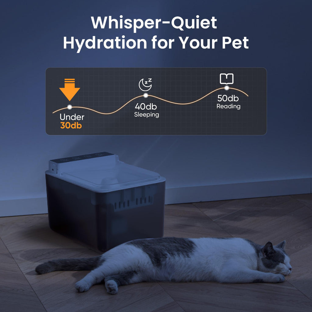 Batterie de recharge sans fil alimentée 304 en acier inoxydable Cat Induction automatique Pet Water Fou