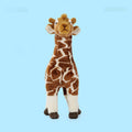 Cute Educational Plush Giraffe