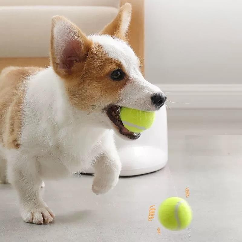 Jouet de lanceur automatique de boules pour chien Jouet Interactif pour chat de chien