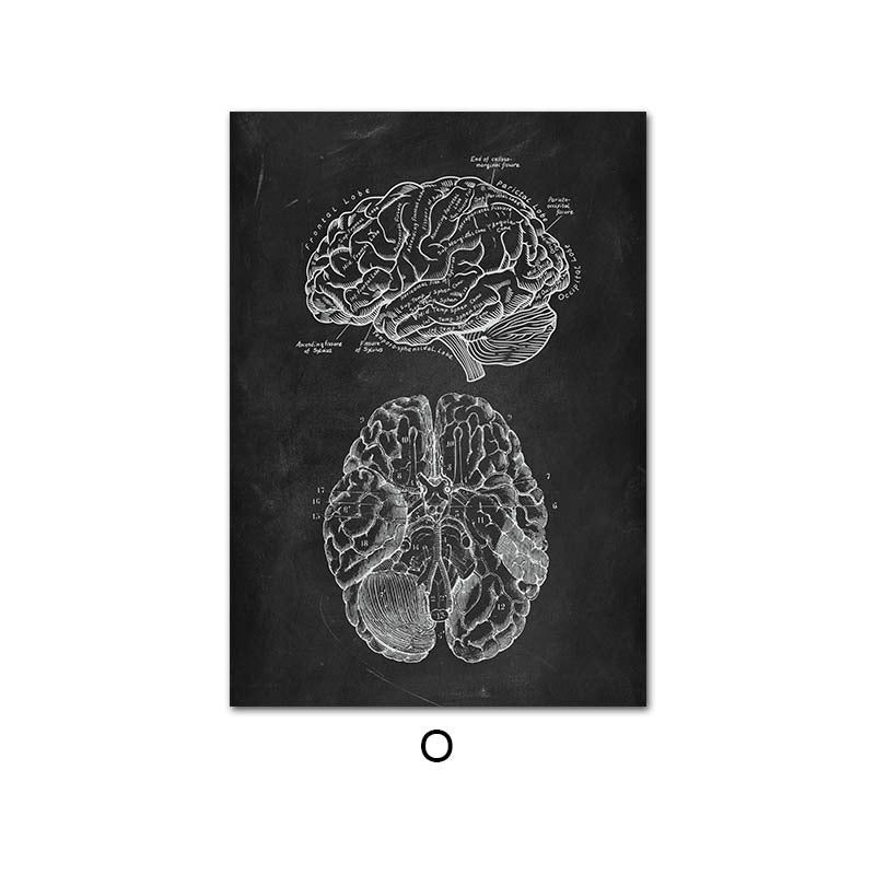 Peinture sur toile du système d'organes de squelette d'anatomie humaine