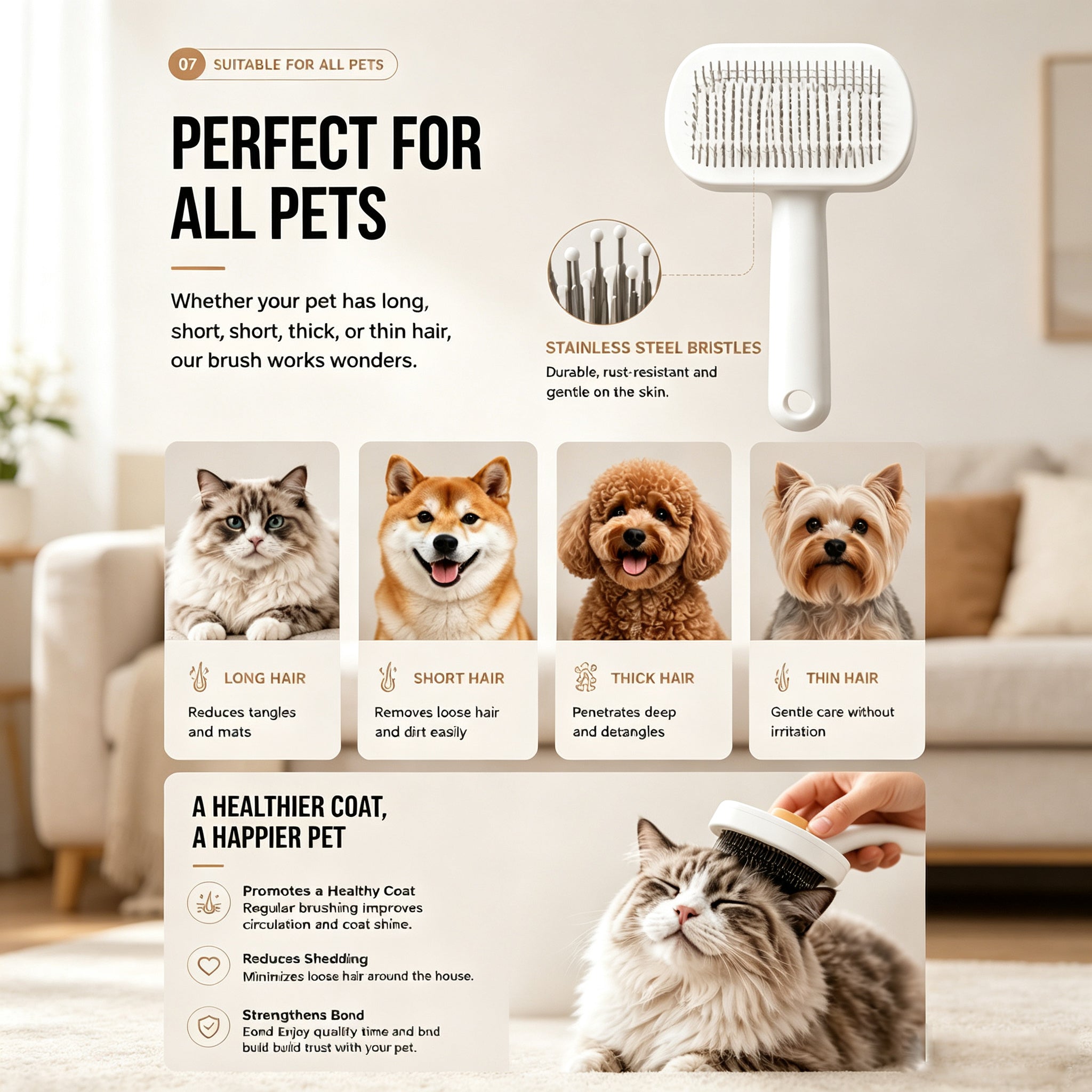 Brosse pour chat et chiens