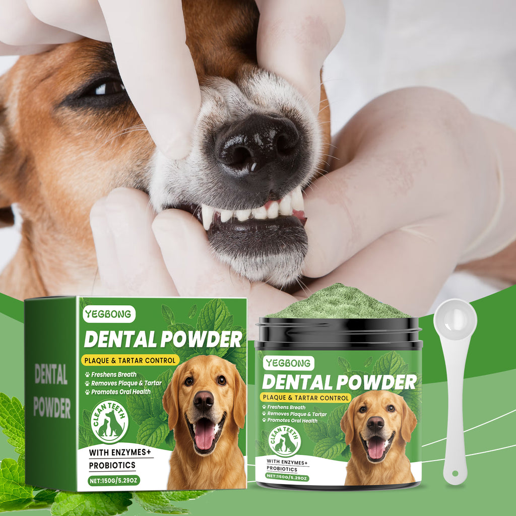 Poudre de nettoyage de dents de chien