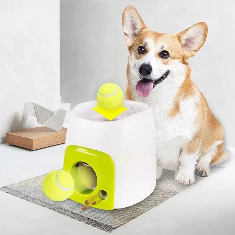 Jouet de lanceur automatique de boules pour chien Jouet Interactif pour chat de chien