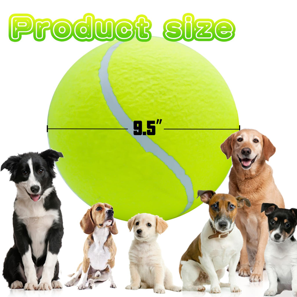 Balle de tennis pour chiens