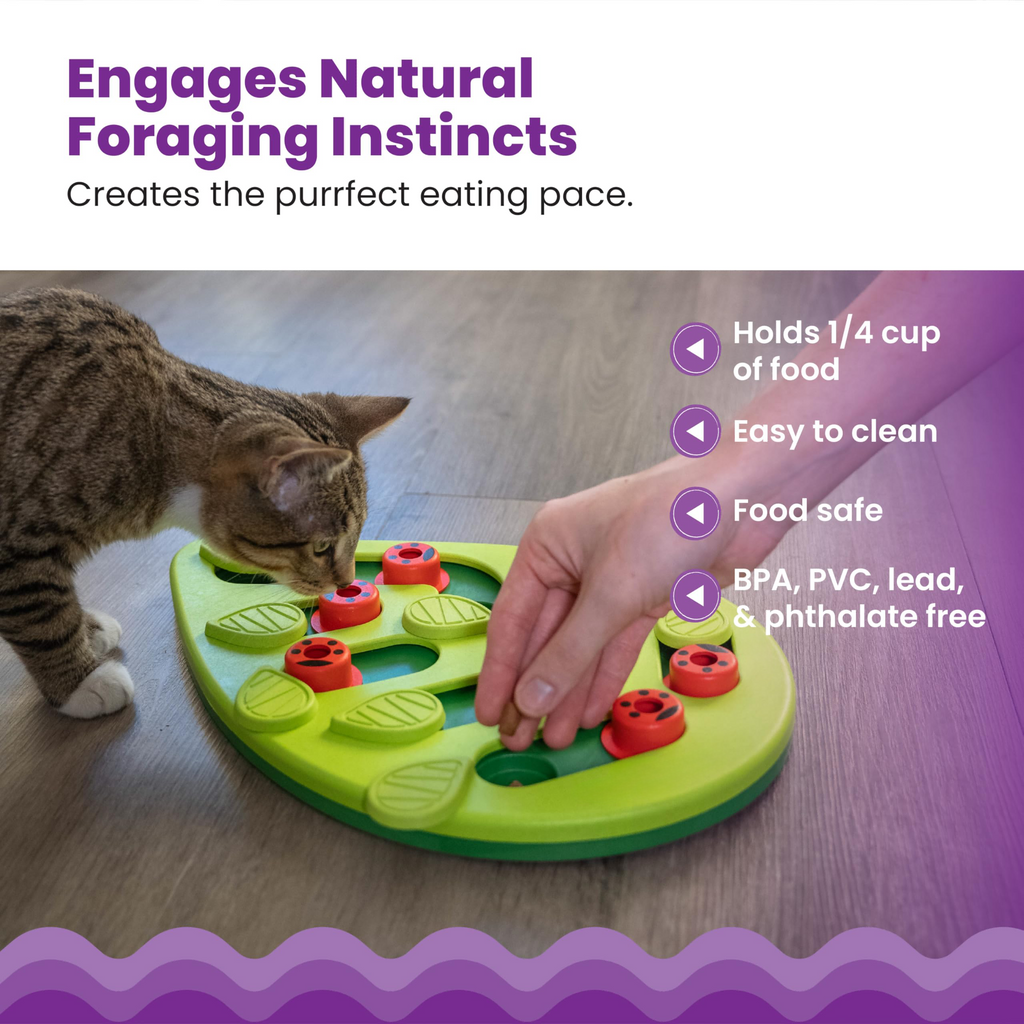 Nina Ottosson Buggin Out Puzzle & Play Cat Puzzle Feeder - Jeu interactif de traite pour Indo