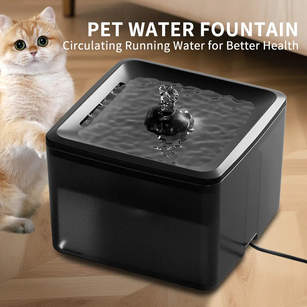 Distributeur d'eau pour animaux de compagnie carré