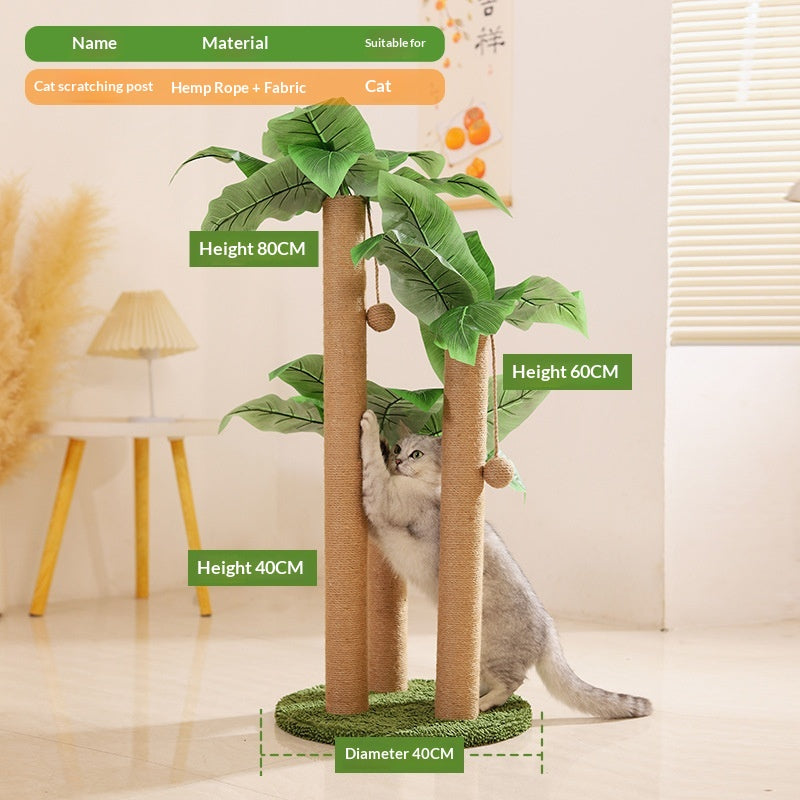 Coco Tree Cat Scratcher et Cat Climbing Tower