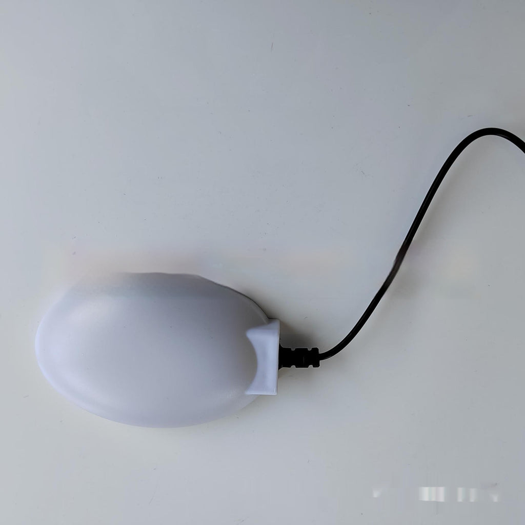 Chauffe-eau Thermostatique pour oiseaux de volaille