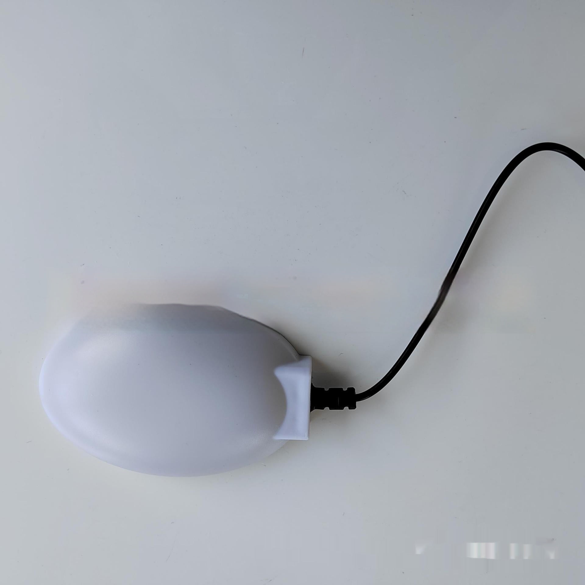 Chauffe-eau Thermostatique pour oiseaux de volaille