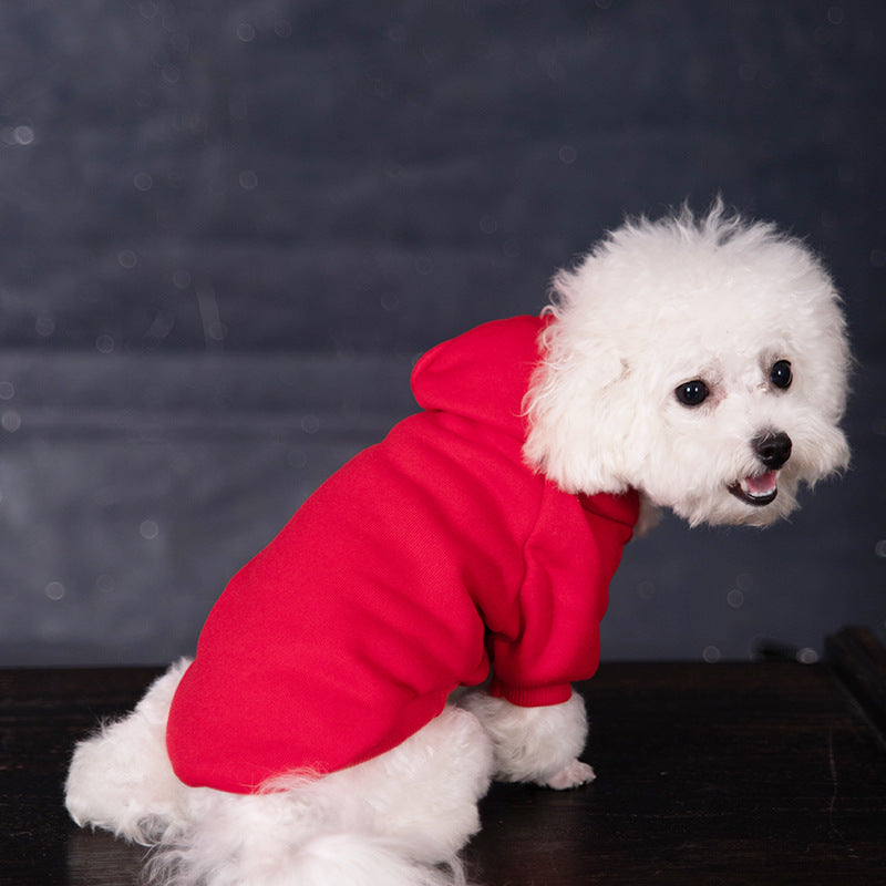 Hoodie pour chiens avec un hood