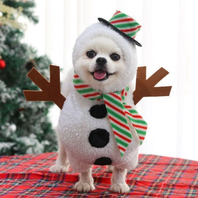 Vêtements pour animaux de compagnie Cat et vêtements pour chiens