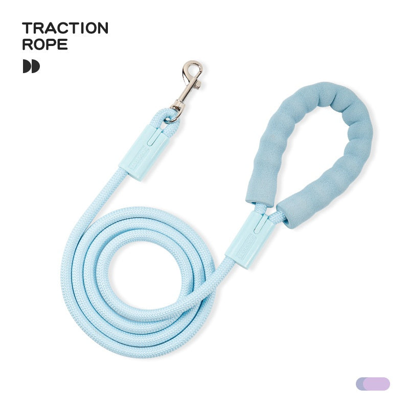 Pet Hand Holding Rope