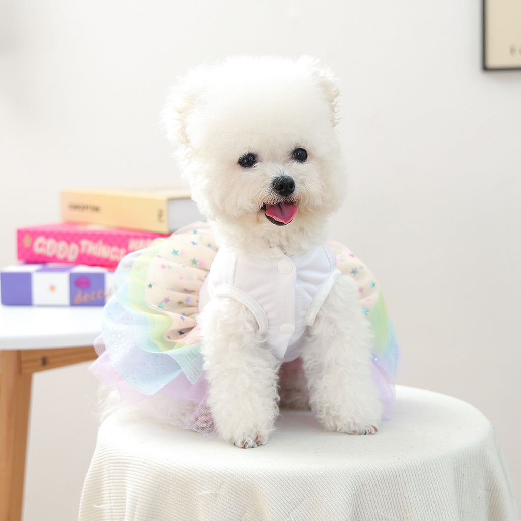 Robe Tutu pour petit chien