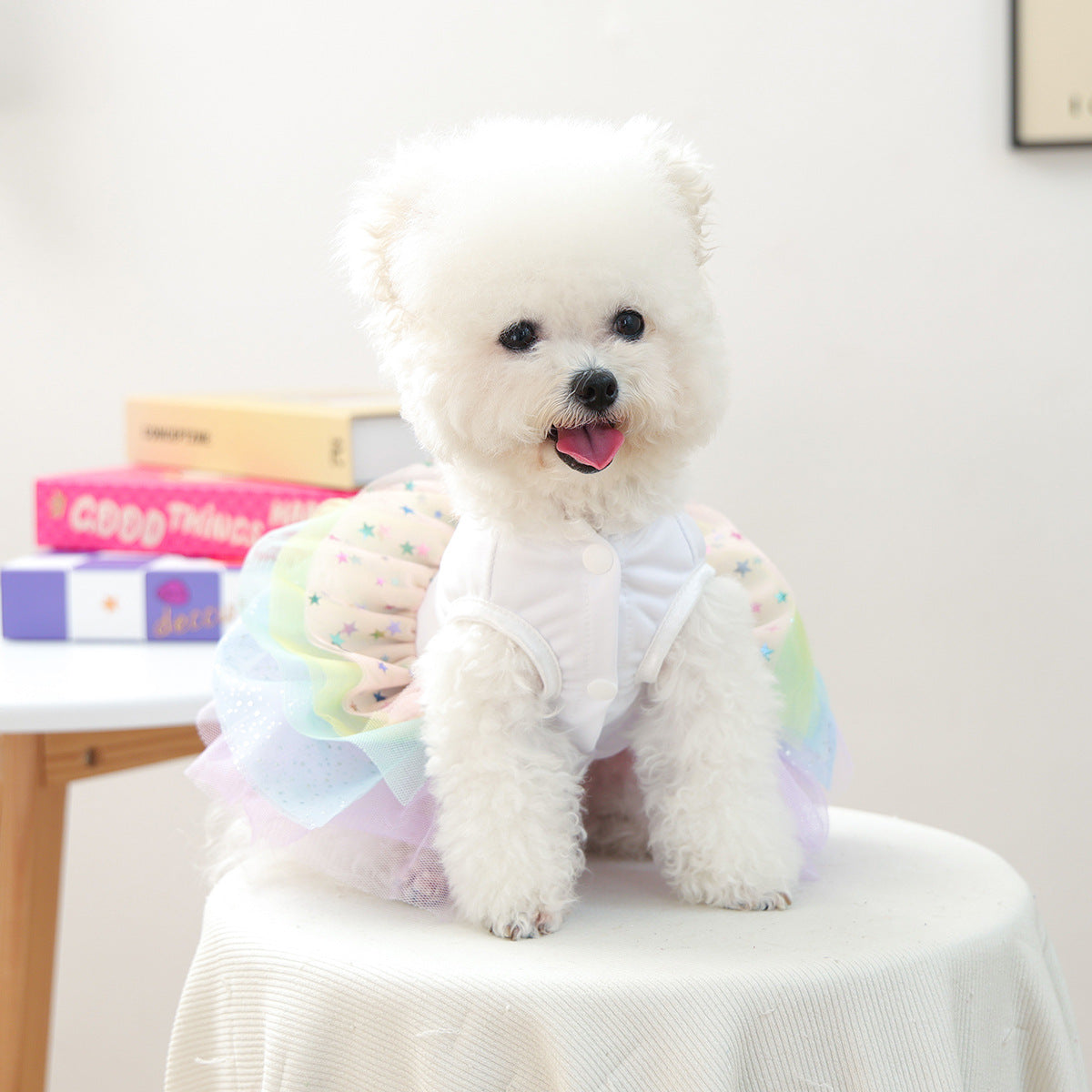 Robe Tutu pour petit chien