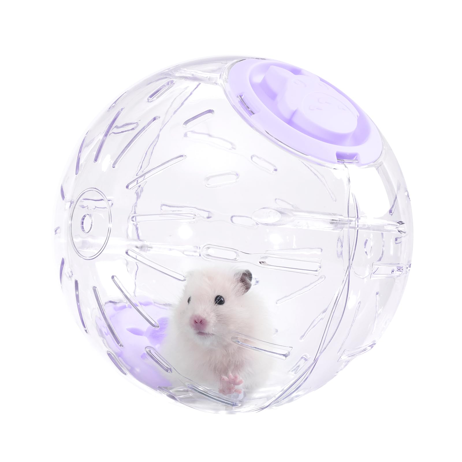 Balle de hamster de 7.9 pouces