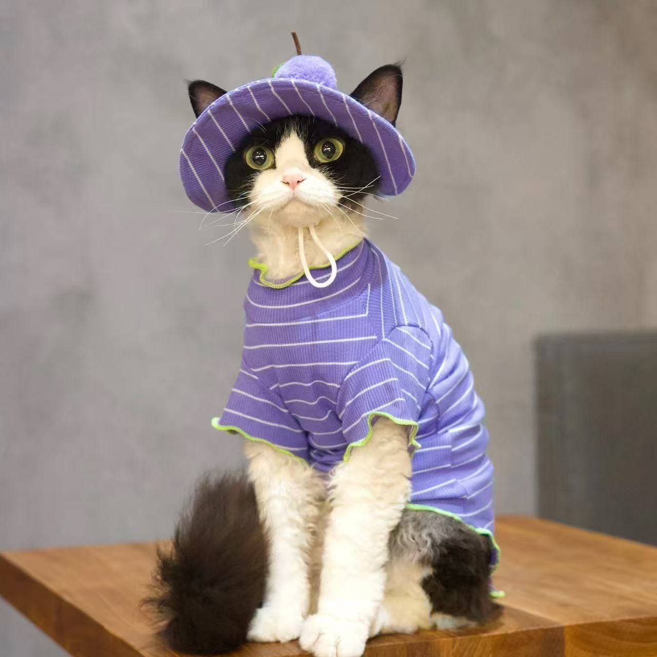 T-Shirt et chapeau de soleil 2 pièces pour chat rayé d'été