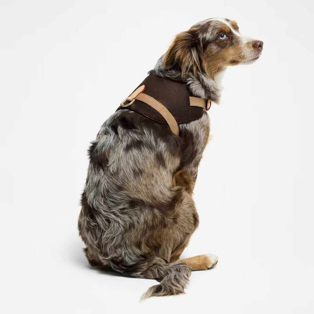 Harnais de mode pour animaux de compagnie de style rue