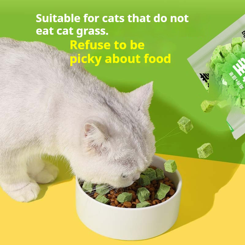 Cat Food Snacks Daily Freeze-Dry Hairball Remède