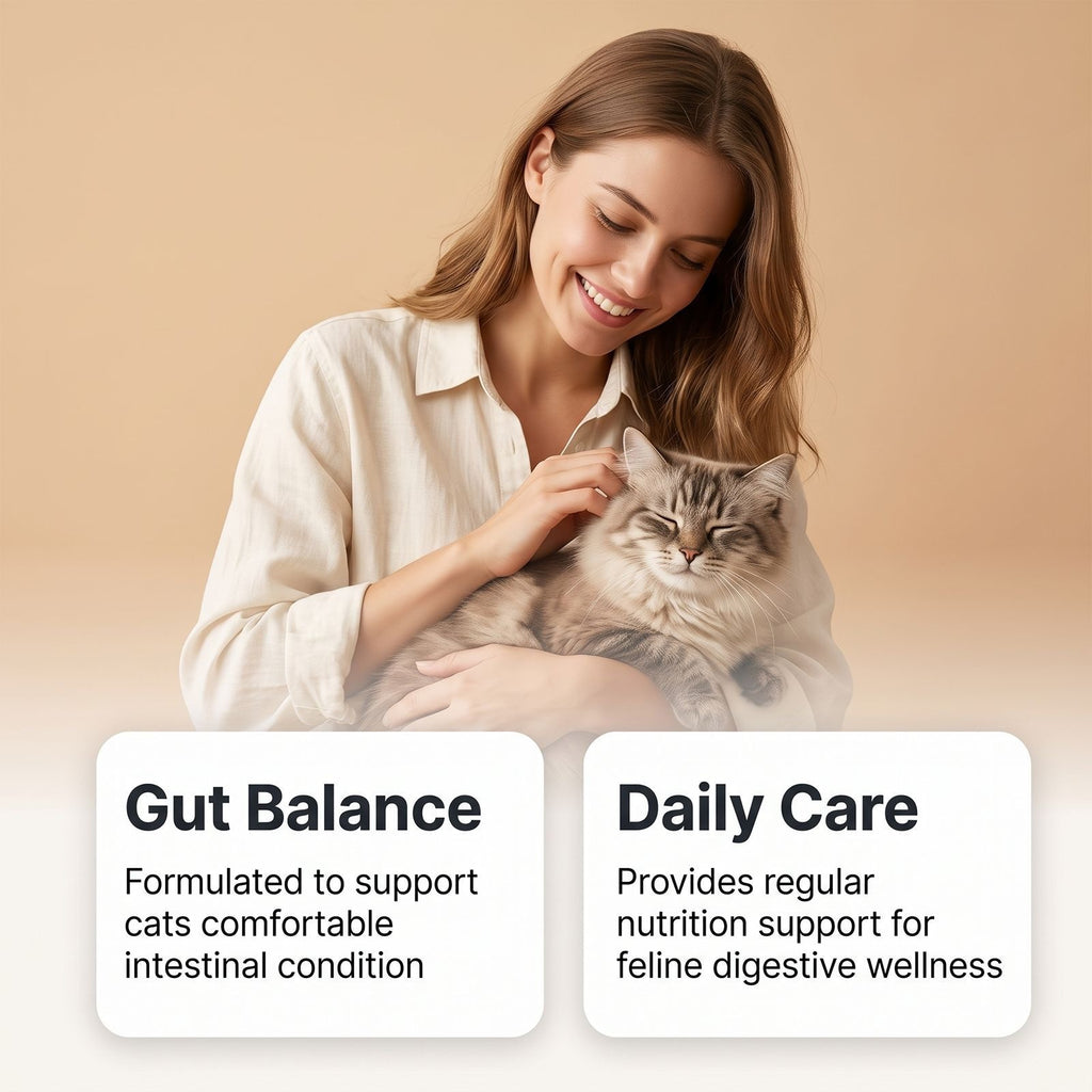 Poudre nutritive probiotique de chat Préparation légère Soins Intestinaux Alimentation quotidienne Supplément N
