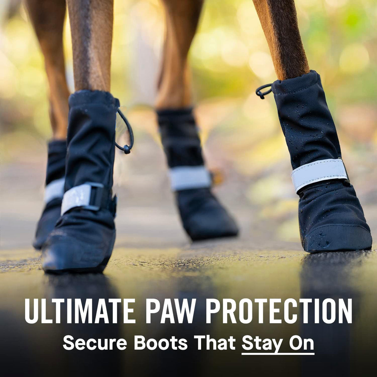 Chaussures de chien réglables