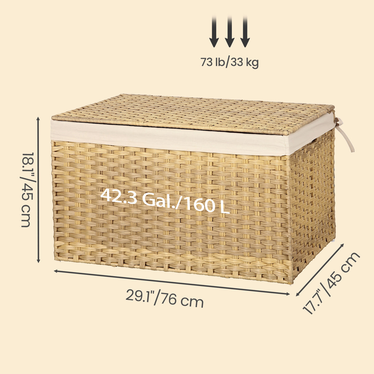 42.3 Panier de rangement Gallon (160L) avec couvercle