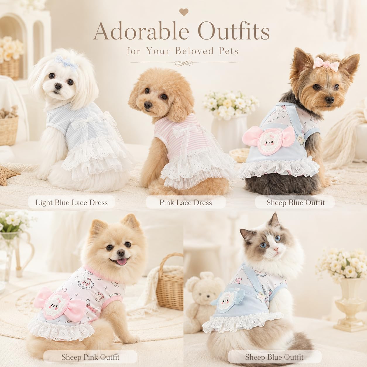 Robe de chien mignon sans manches