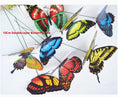 Peintre papillon simulé couleur 7cm-10 pièces