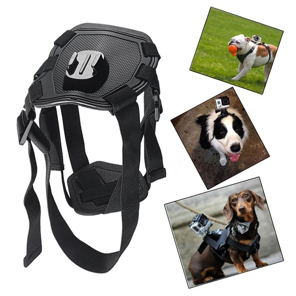 Harnais de chien Strap caméra accessoire pour dualuse dos sur poitrine