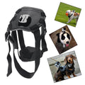 Harnais de chien Strap caméra accessoire pour dualuse dos sur poitrine