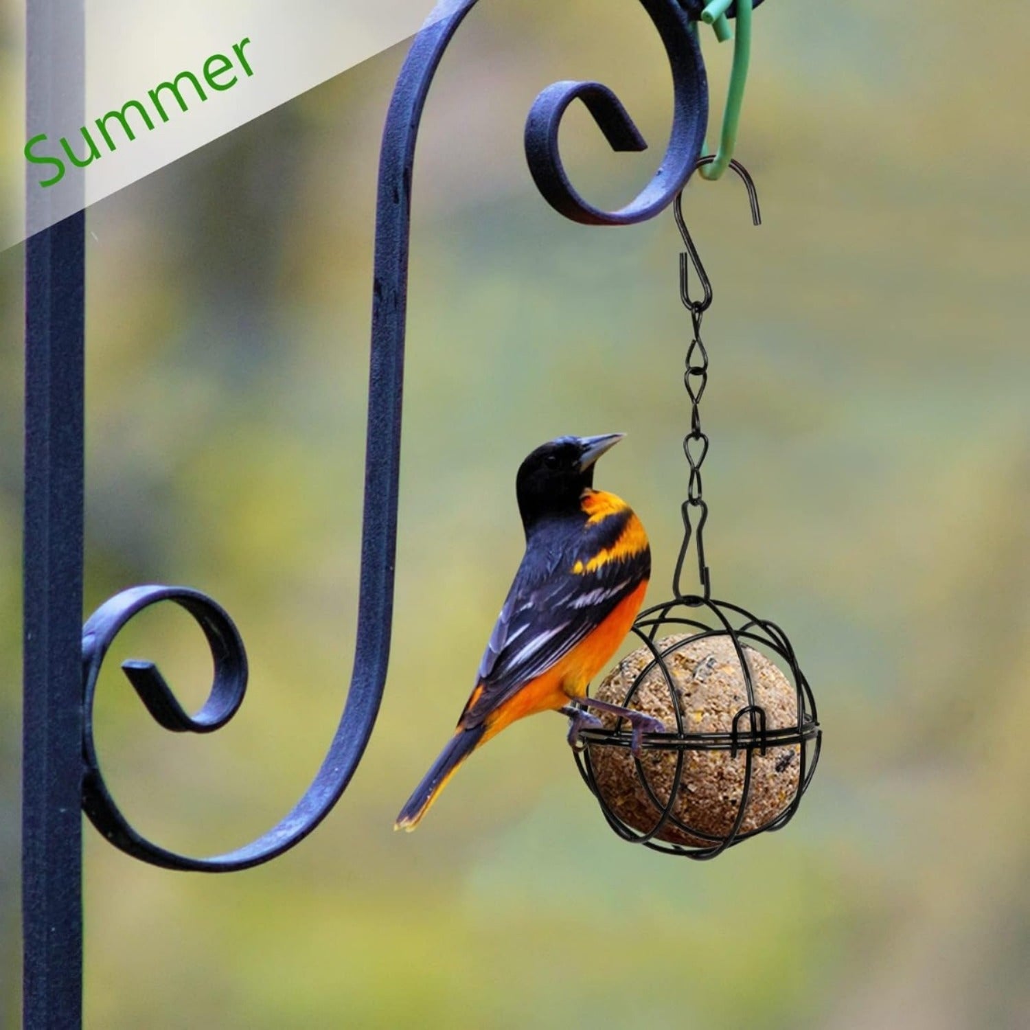 Ensemble de 4 Titmouse Suet Holder Bird Feeder Station pour accrocher