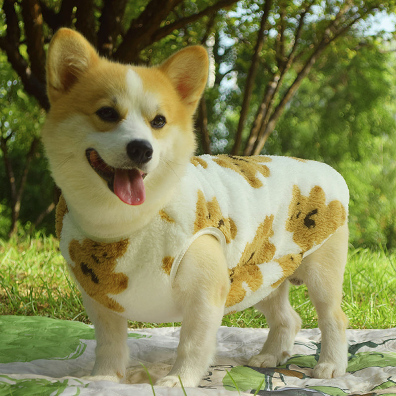 Vêtements de chien Automne et hiver Veste rembourrée anti-dorteuse de taille moyenne