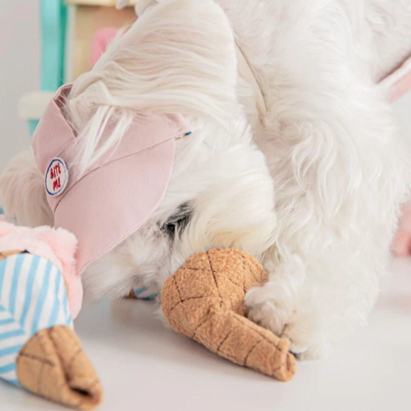 Les animaux peuvent sentir et faire des bruits pour soulager l'ennui en broyant leurs dents. Les chiens en papier et
