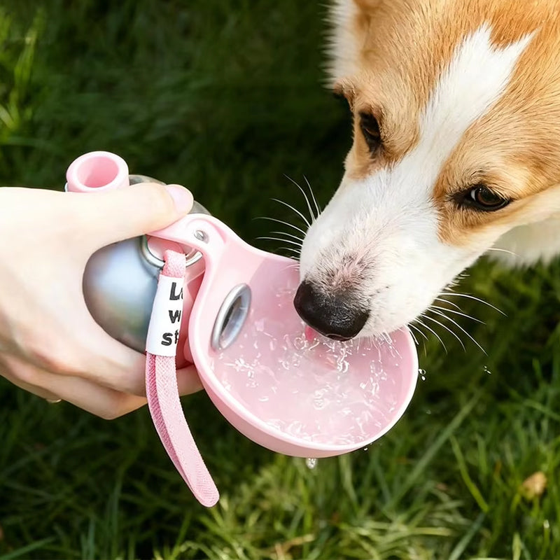 Bouteille d'eau portable 2-en-1 pour chien en acier inoxydable avec bol en silicone pliable