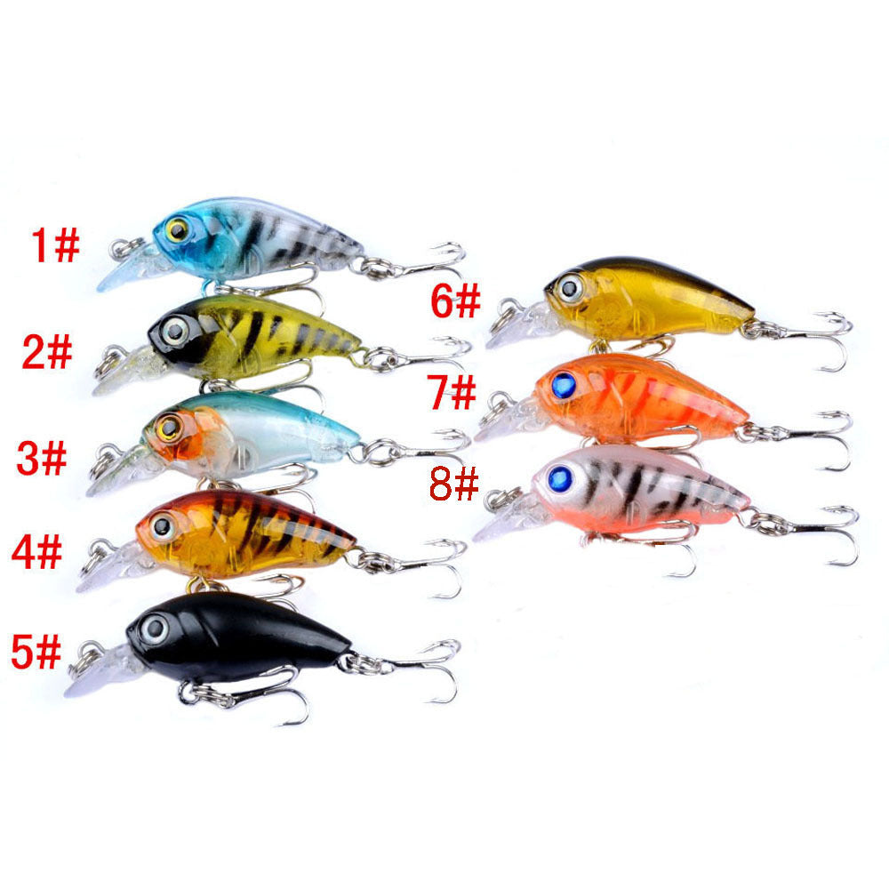 Mini Combo de roche grasse Lure
