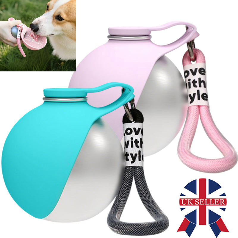 Bouteille d'eau portable 2-en-1 pour chien en acier inoxydable avec bol en silicone pliable