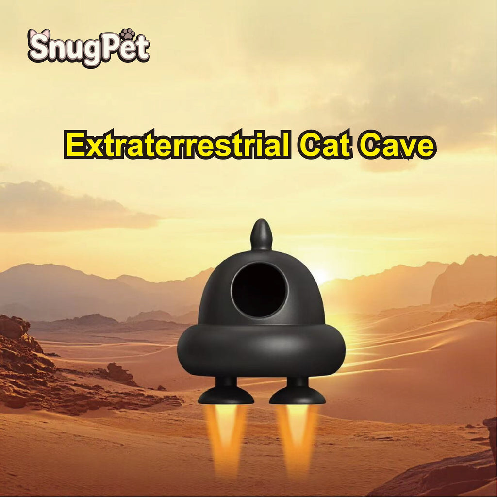 Grottes de chat de style étranger