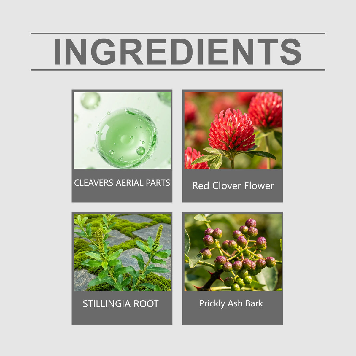Lymphe soutien de la santé gouttes à base de plantes 60ml boîte