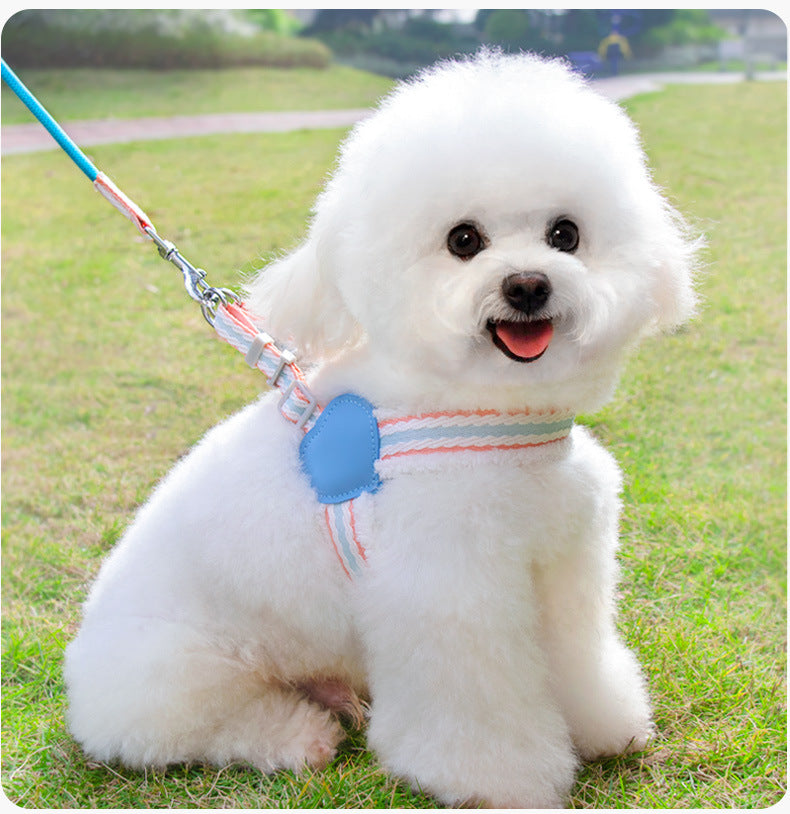 Leash de chien Été Respirant Corgi Shiba Inu Bichon Chest Vest Marcher Leash de chien Petit Et