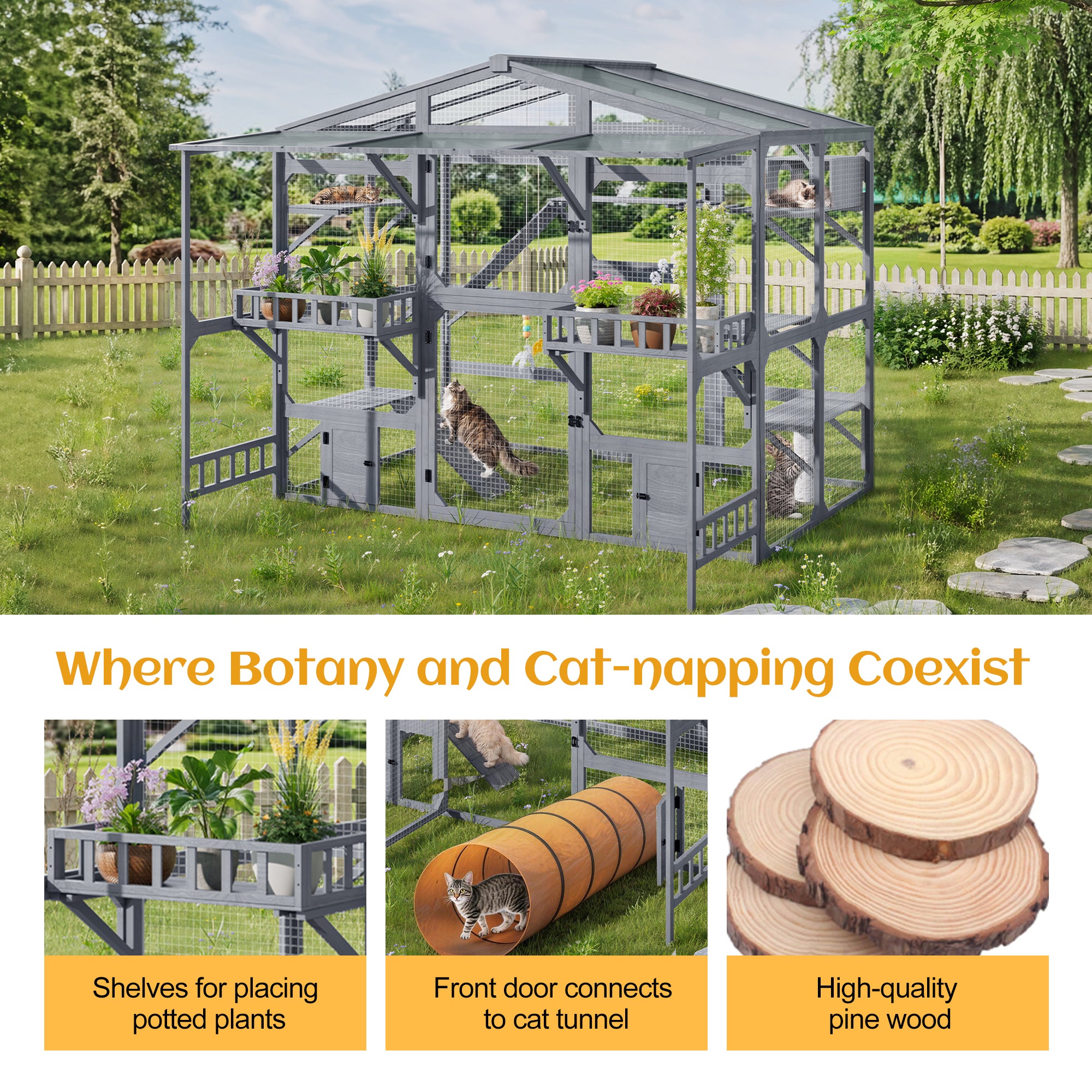 Grand Catio extérieur pour 6-10 Chats